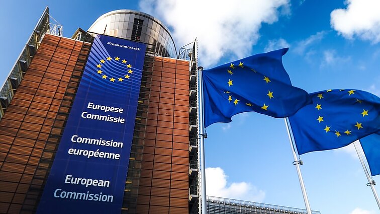 Čmilytė-Nielsen apie eurokomisaro situaciją: klausimas, tapęs pajuokos objektu
