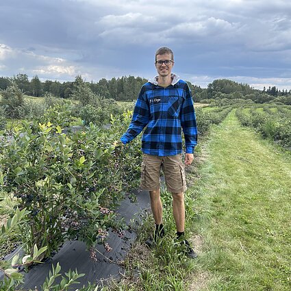 Rekordiškai žemos šilauogių kainos nedžiugina augintojų