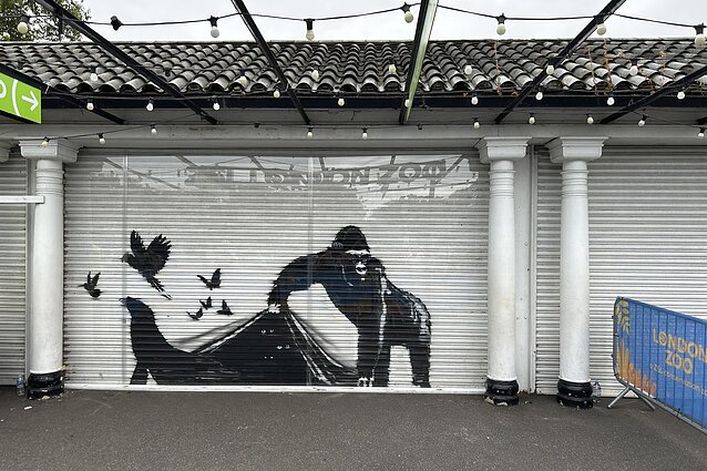 Įvertino naujausią Banksy kūrinių seriją: ar kūriniai perduoda politinę žinutę?