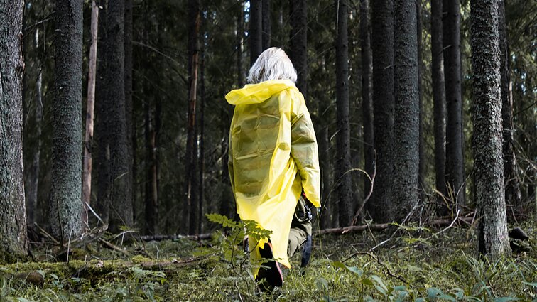 Grybautojų elgesį kritikuojantis išgyvenimo mokytojas: miške jie būna labai neatsargūs