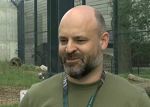 Lauras Stacevičius Lauras Stacevičius