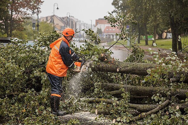 Jau galima teikti prašymus dėl audros nuostolių kompensacijų: didžiausia suma – 200 eurų
