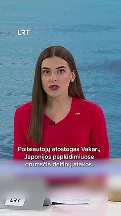 Poilsiautojų atostogas Japonijoje drumsčia delfinų atakos