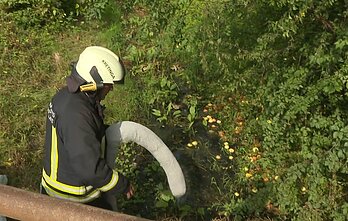 Kretingiškiai skundžiasi bendrovės veikla – grūdai rūgsta, švinksta ir teršia tvenkinį