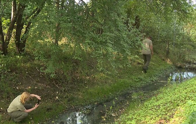Kretingiškiai skundžiasi bendrovės veikla – grūdai rūgsta, švinksta ir teršia tvenkinį