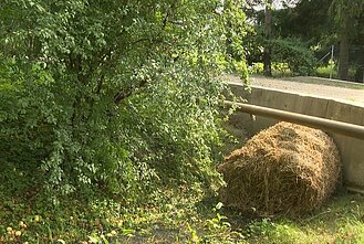 Kretingiškiai skundžiasi bendrovės veikla – grūdai rūgsta, švinksta ir teršia tvenkinį