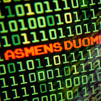 Žiniatinkliui - 33 metai: tuomet nesupratome, kaip internetas pakeis mūsų gyvenimą