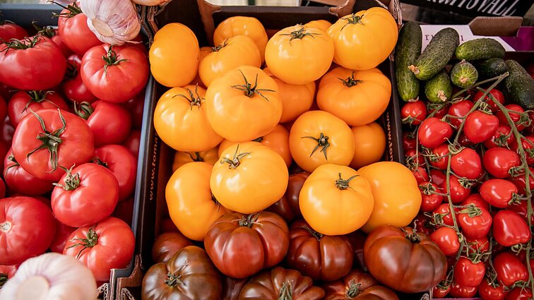 Vietinis derlius – brangesnis už įvežtinį: ekspertė atsakė, kas tai lemia