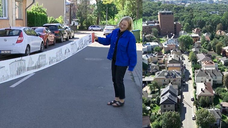 Kaunietė Gudaitytė įkvėpta Kauno Žemuogių gatvės išleido knygą apie gyventojų likimus