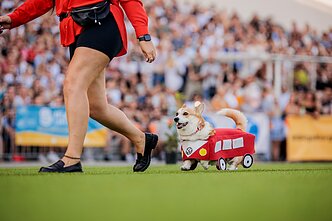 Korgių lenktynės 2024 metais Vingio parke Korgių lenktynės 2024 metais Vingio parke