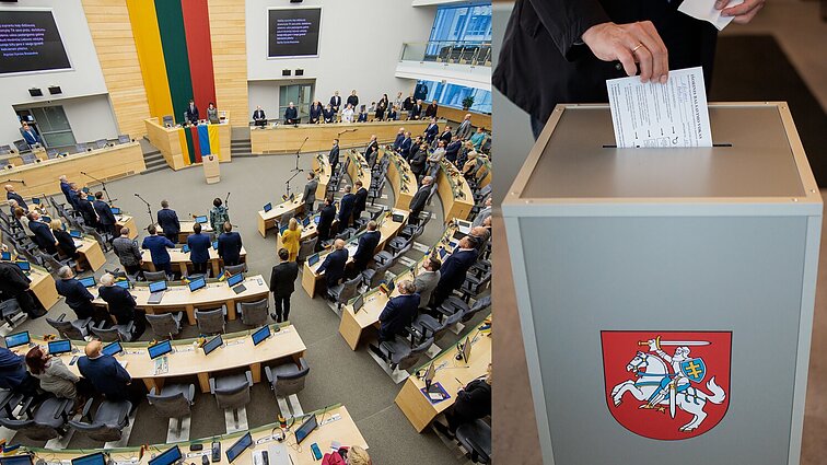 Urbonaitės kirtis rinkimų programoms: logikos nėra, politikus reikia spausti į kampą