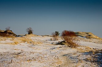 Kuršių Nerija