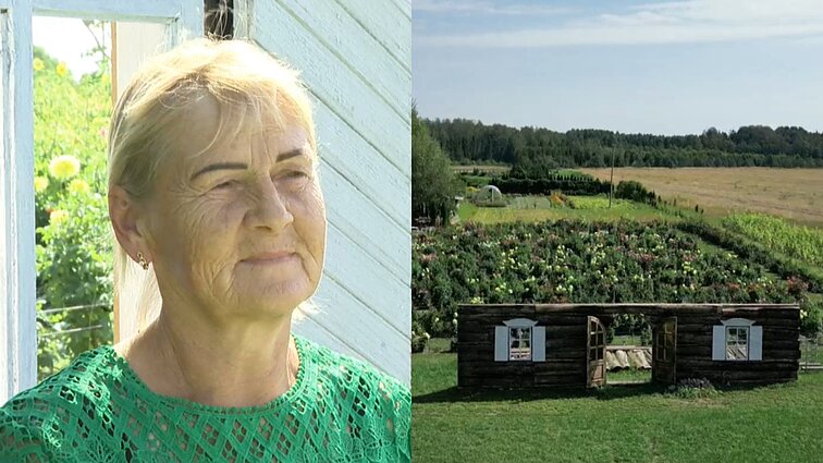 Šimto veislių jurginų lauką įrengusi Ryta: net nesu gėlininkė – žinau tiek, kad jurginas