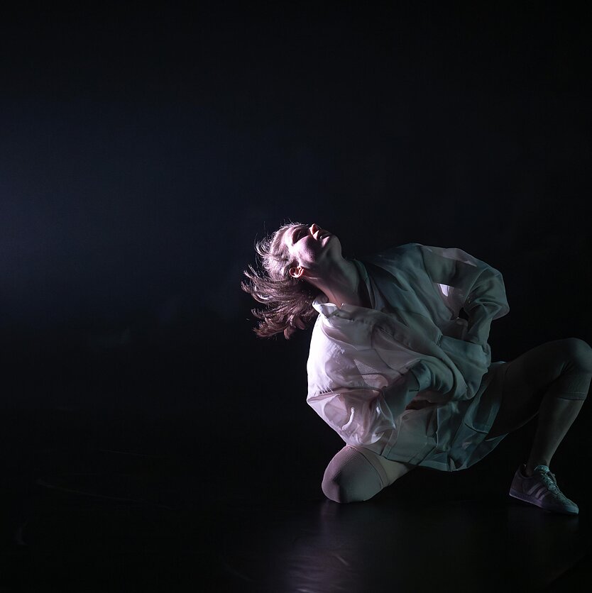 Lietuvos šokio informacijos centro nuotrauka, „Tanzmesse NRW“ mugėje Baltijos šalys pristato savo šokio panašumus ir skirtumus