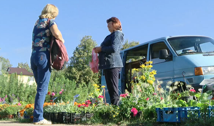 „Turgaus, koks jis yra dabar, neturėtų būti“: ieškoma lėšų naujam Veisiejų turgui