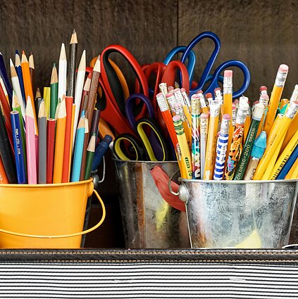 Tvarumo siekis mokyklose