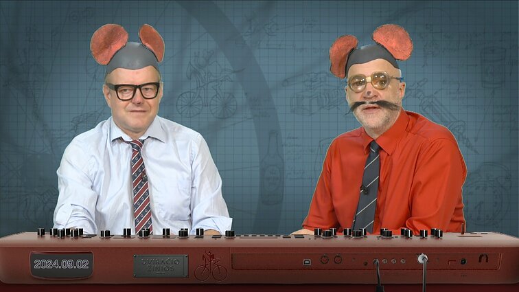 Peliukai apie naudojimąsi savitarnos kasomis: privalo būti mokamos kompensacijos?