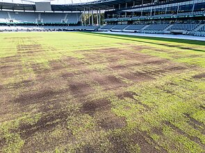 Darius and Girėnas Stadium in Kaunas