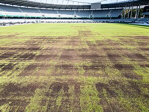 Darius and Girėnas Stadium in Kaunas