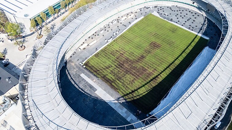 Stankevičius pyksta dėl suniokotos vejos: apsijuoksime Europoje
