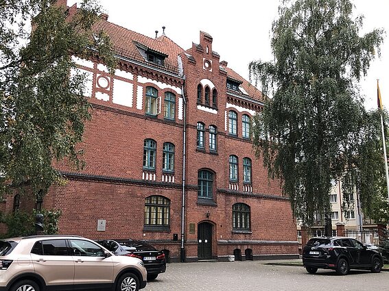 40 proc. gausesnėmis gretomis besidžiaugiantis KU rektorius: startas šiemet džiugina