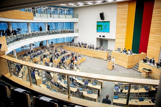 Politologė įvertino politinių partijų programas: labai liūdnas vaizdas