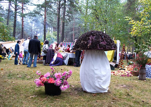 Грибной праздник Грибной праздник