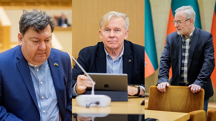Net 8 kadencijos Seime: tarp patirtį kaupusių senbuvių – ir tik išlikti siekę politikai