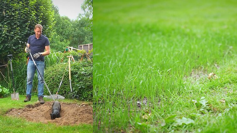 Rugsėjis – tinkamiausias metas: kaip sutvarkyti vasarą ištryptas vejos vietas