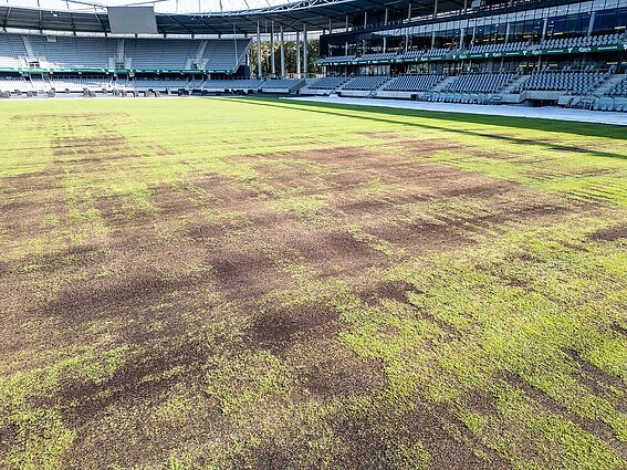 Malžinskas apie stadiono vejos problemą: reikia apsispręsti, ar sportas, ar koncertai