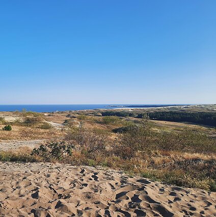 Kaip Kuršių neriją keičia klimato kaita?