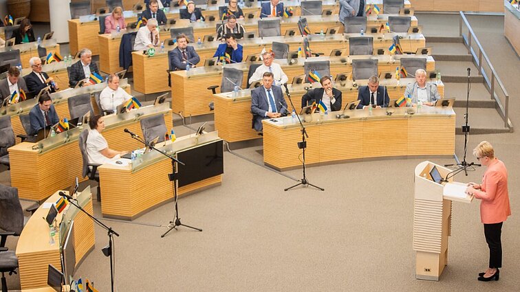 Politinę situaciją ir ginčus aptarusi Degutienė: atrodo, kad karvę dalinam