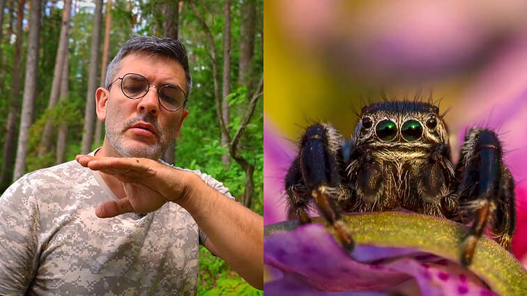 Šokliavorius vorų pasaulio „influenceriais“ vadinantis Čepulis: jie yra fantastiškai mieli