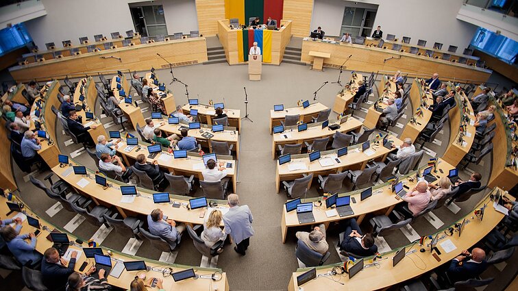 Juškaitė mano – teisti asmenys gali būti renkami į Seimą: negalim nubausti visam gyvenimui