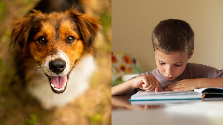 Vaikams mokytis skaityt gali padėt ir šunys: „Sėkmė užkoduota – juk šuo neklaus, kur kablelis“