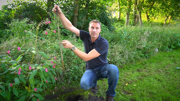 Sklype būtinai išanalizuokite dirvožemį: užtenka kastuvo, bet galima išsiversti ir be jo