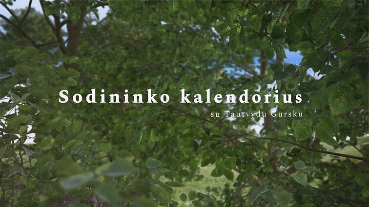 Sodininko kalendorius