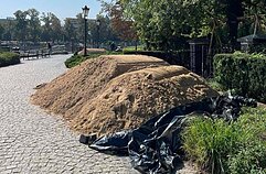 Wrocław przygotowuje się do nadejścia potężnej fali powodziowej (18 września 2024) Wrocław przygotowuje się do nadejścia potężnej fali powodziowej (18 września 2024)