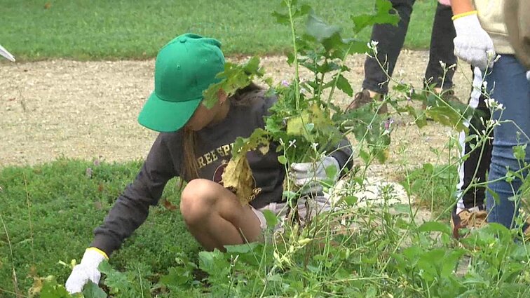 Projekte dalyvavę mokiniai mokėsi sėjos, o dabar raško derlių: gavo ir specialias sėklas