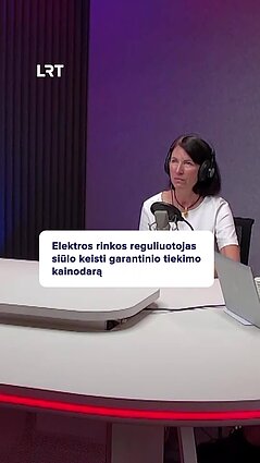 Ar reikia keisti garantinio tiekimo kainodarą?