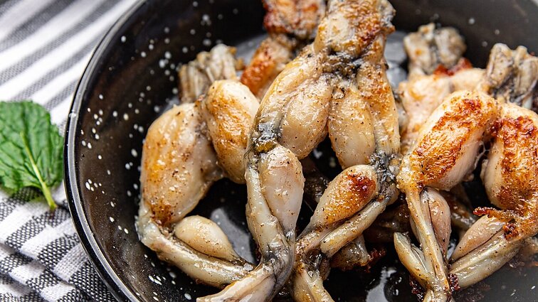 Per metus suvalgoma apie 1 mlrd. varlių: ekspertas atsakė, kaip tai veikią jų populiaciją