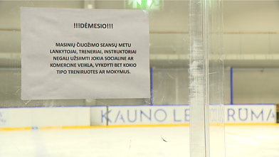 Draudimai ledo rūmuose