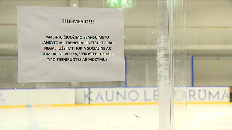 Draudimai ledo rūmuose