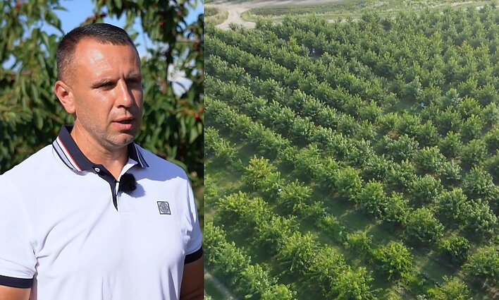 Visą gyvenimą nuo kaimo bėgęs Marius dabar augina trešnes: tai gyvenimo būdas