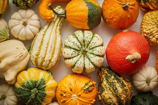 Rudeninių daržovių derlius šiemet – gausus, bet šylant rudeniui tenka daugiau investuoti