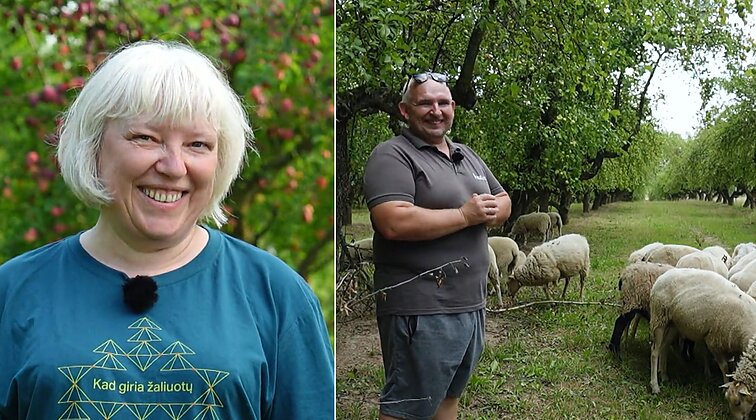 Paveldėtose žemėse slyvas auginantys ir avis ganantys Šiškai: senelis turbūt džiaugiasi
