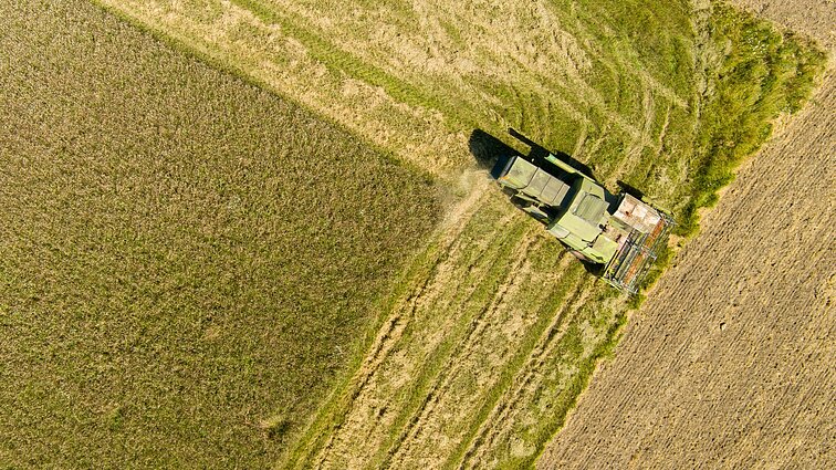 Ūkininkai jautriai išgyvena klimatos kaitos pokyčius: keičia veiklą ar likviduoja ūkius