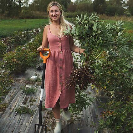 Daugėja norinčiųjų kurti skintų gėlių ūkius, bet svarbu apgalvoti realizaciją