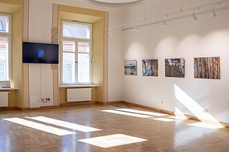 Prashant Rana's exhibition at Adomas Mickevičius Public Library in Vilnius