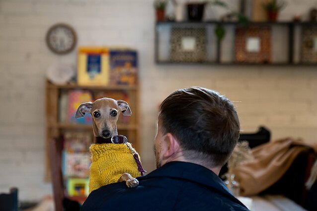 Pirmosios prieinamos knygos vaikams G. Grušaitės „Grožis ir Heizelis“ pristatymas